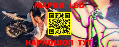 стаф Бугуруслан