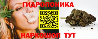 стаф Бугуруслан