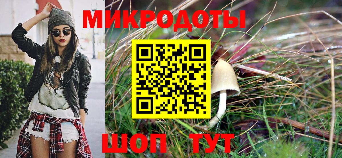 Тара  Галлюциногенные грибы MAGIC MUSHROOMS  Галлюциногенные грибы Cubensis  Вход с VPN 